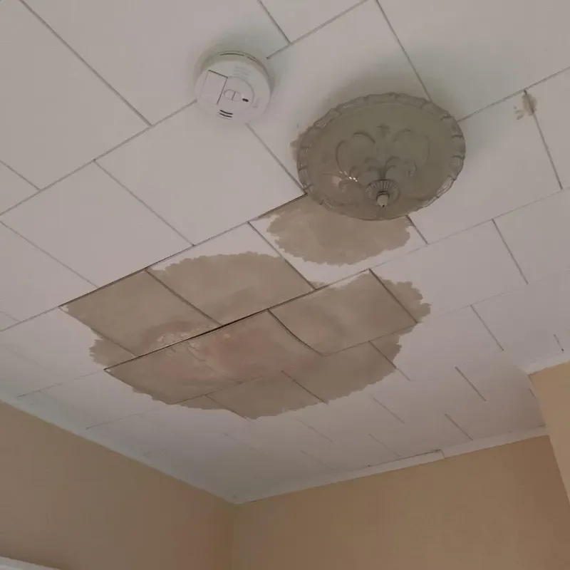 Ceiling Water Damage Repair in Mont Vernon, NH