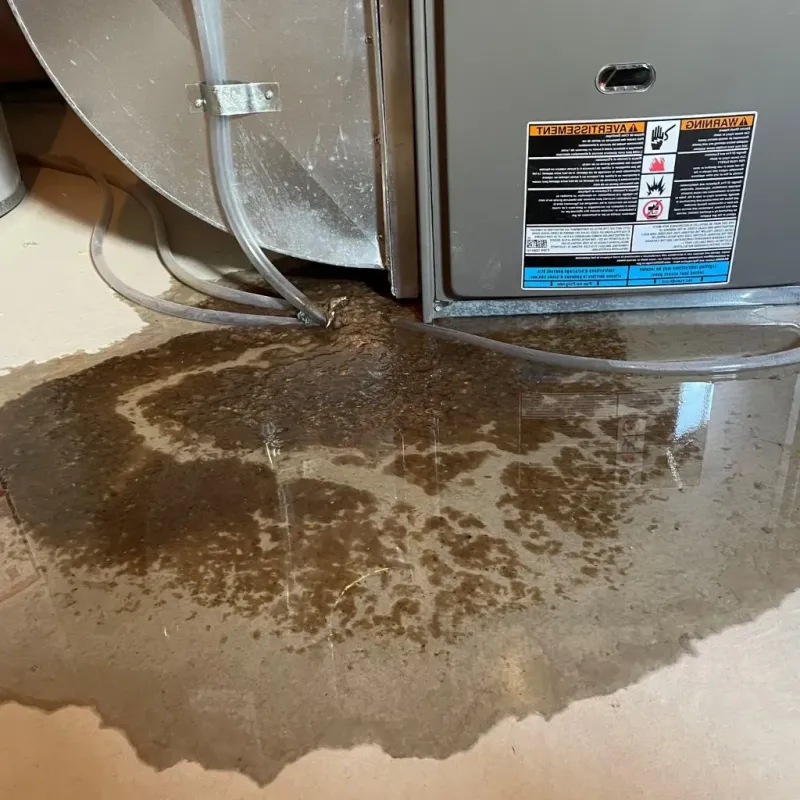 Pipe Burst and Leak Restoration in Mont Vernon, NH